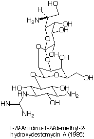 1-N-Amidino-1-N-demethyl-2-hydroxydestomycin_1