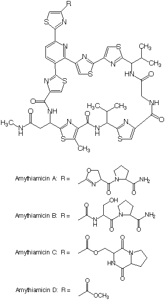 Amythiamicin_1