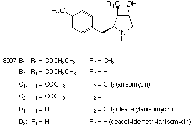 Anisomycin analogs_1