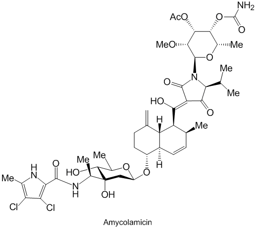 Amycolamicin_1